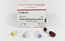 FastSens® NG PCR Kit