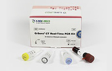 FastSens® CT PCR Kit