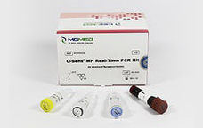 FastSens® UU PCR Kit